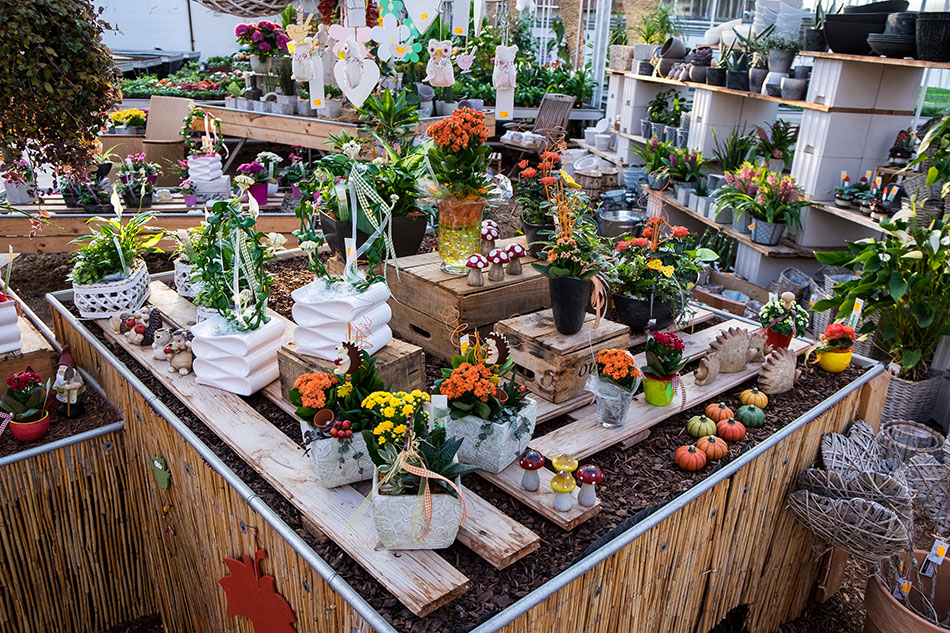 Gärtnerei Sieben, 63834 Sulzbach am Main / Blumen, Pflanzen, Blumenerde